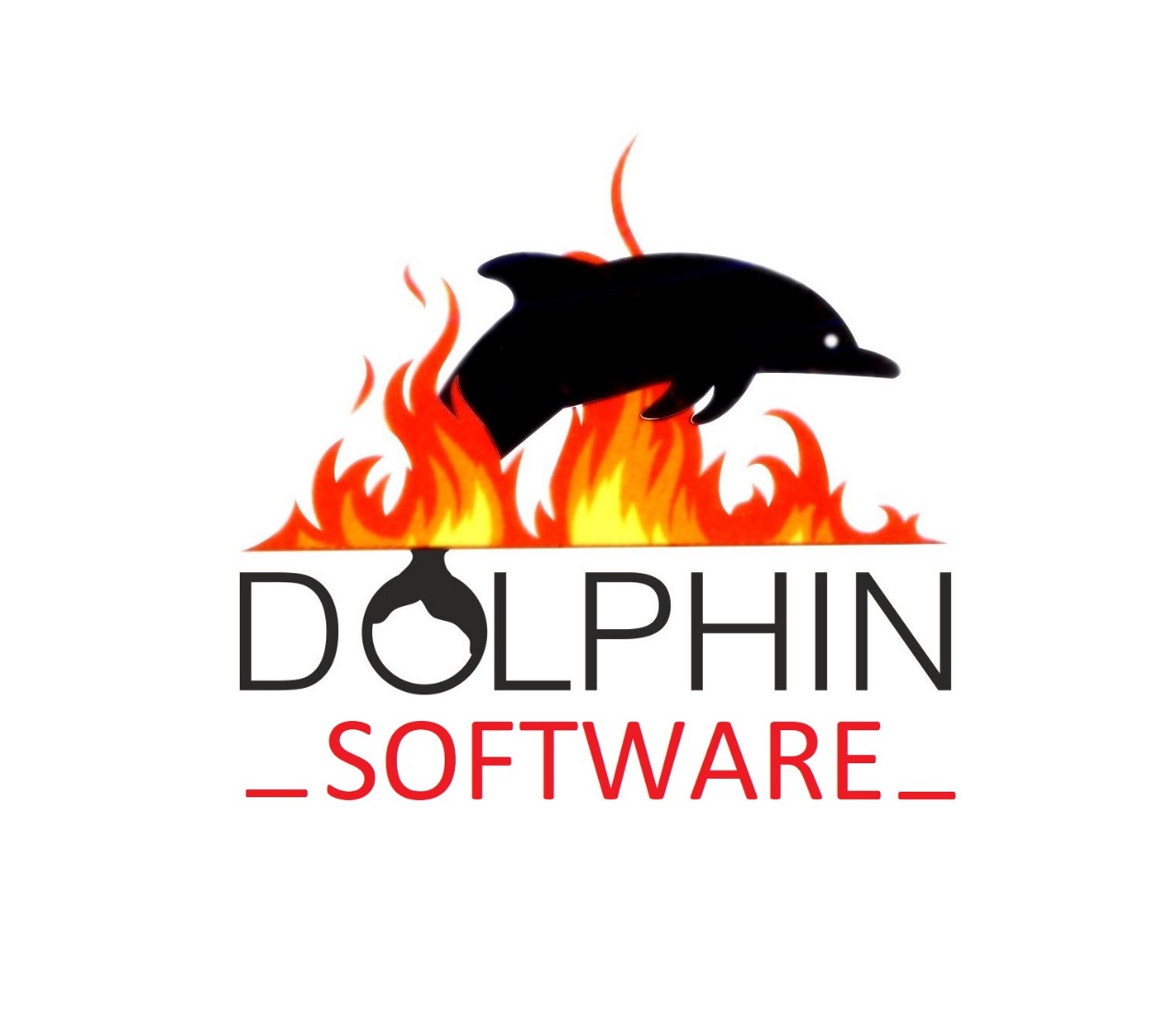 Dolphin Software Technologies